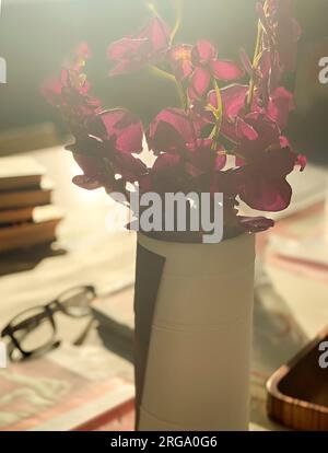 Image de couleurs douces d'un vase de fleur dans une table avec des livres et des verres. Illuminé par les rayons du soleil. Banque D'Images