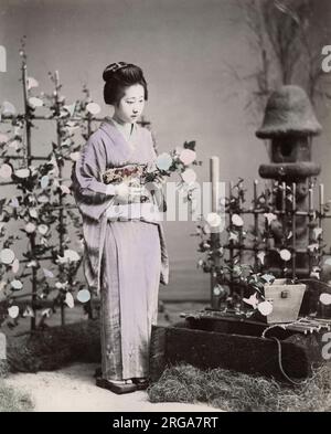 Geisha arranger des fleurs, Japon. Photographie vintage du 19th siècle. Banque D'Images