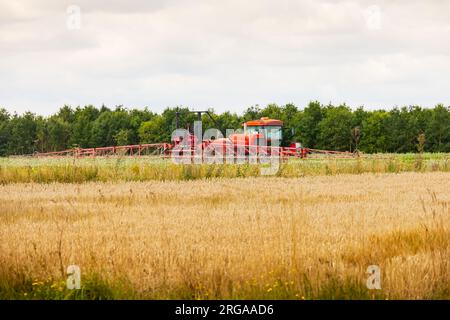 A Sands Agricultural Machinery, SAM, Vision 4.0E pulvérisateur de cultures automoteur dans un champ au travail. Lincolnshire. Banque D'Images