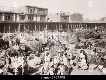 Photo du XIXe siècle : Halte d'une caravane de chameaux, Peshawar, Inde, maintenant province de Khyber, Pakistan. Banque D'Images