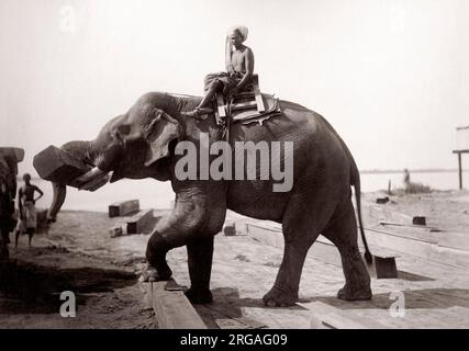 C.1880 - La Birmanie, l'Inde et de l'éléphant de travail journaux déménagement cornac Banque D'Images