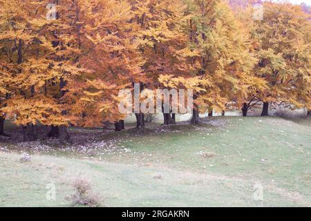 Campo Imperatore dans les Abruzzes Italie Banque D'Images