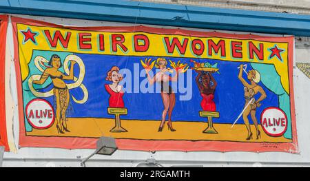 Panneau publicitaire pour le Freak Show et Weird Women à Coney Island, New York Banque D'Images