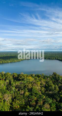 LAC, ENTOURÉ D'UNE JUNGLE DENSE, LES MÉANDRES SONT OBSERVÉS Banque D'Images