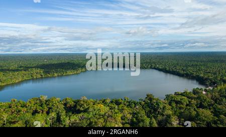 LAC, ENTOURÉ D'UNE JUNGLE DENSE, LES MÉANDRES SONT OBSERVÉS Banque D'Images