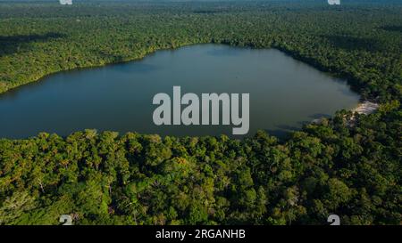 LAC, ENTOURÉ D'UNE JUNGLE DENSE, LES MÉANDRES SONT OBSERVÉS Banque D'Images