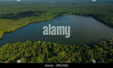 LAC, ENTOURÉ D'UNE JUNGLE DENSE, LES MÉANDRES SONT OBSERVÉS Banque D'Images