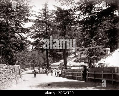 Vue sur le Mall, Shimla, Shimla, Inde, c.1860's Banque D'Images