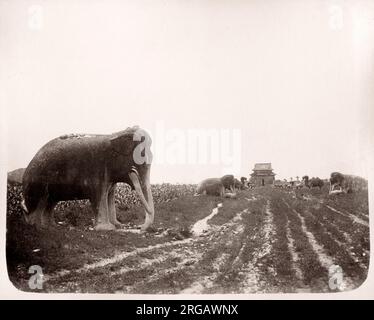 Vintage Photo 19e siècle Chine c.1880 s - animaux en pierre sur l'avenue avec les tombeaux Ming près de Pékin Beijing Banque D'Images