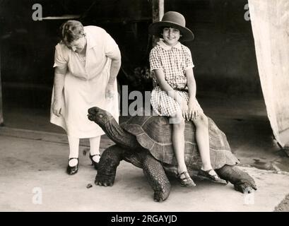 Au début du xxe siècle vintage press photographie - une petite fille assise sur une tortue géante à Mombasa au Kenya Banque D'Images