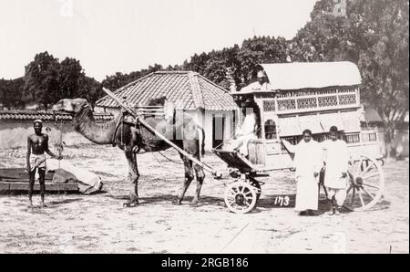 Photographie vintage du XIXe siècle : chariot ou chariot de chameau, Inde. Banque D'Images