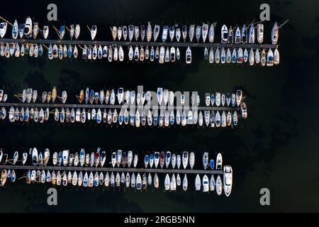 Vue aérienne sur les jetées avec des voiliers à la marina dans le port de Heiligenhafen le long de la mer Baltique, Ostholstein, Schleswig-Holstein, Allemagne Banque D'Images