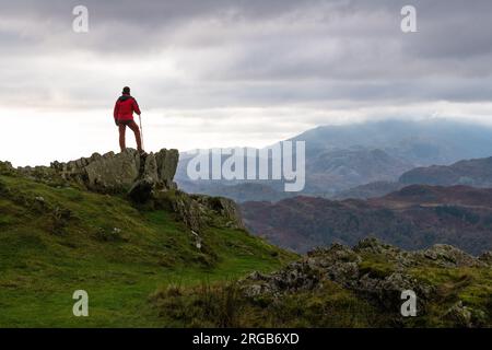 Vues sur les collines depuis le Grey Grag, près de Grasmere, Lake District National Park, Cumbria, Angleterre Banque D'Images