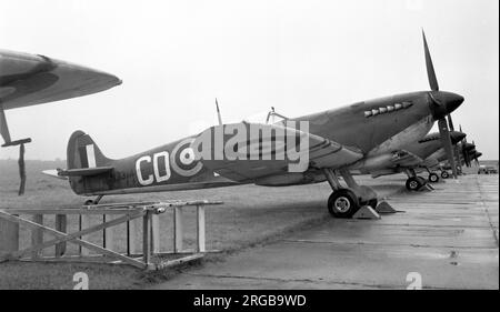 Supermarine Spitfire LF Mk.IXb MH415, marqué comme 'N3314' 'CD-F', sur la ligne de vol pour le tournage de 'la bataille d'Angleterre', à l'aérodrome de Duxford en juillet 1968 (avec l'ID fallacieux comme N3314 était un provocateur Boulton Paul). Banque D'Images