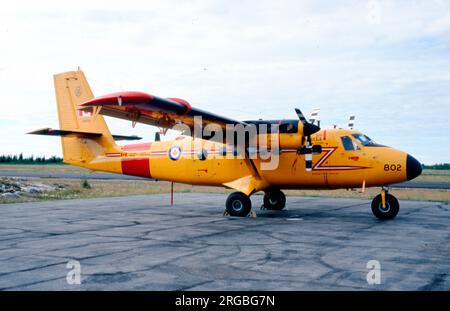 Forces armées canadiennes - de Havilland Canada CC-138 Twin Otter 13802 (msn 305, panneau d'appel '803') du 440 Escadron Banque D'Images