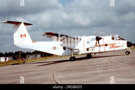 Forces armées canadiennes - de Havilland Canada CC-115 Buffalo 115463 (msn 21), du no 412 Sqn, de la BFC Lahr, Allemagne, à la RAF Greenham Common le 27 juin 1981. Banque D'Images