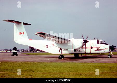 Forces armées canadiennes - de Havilland Canada CC-115 Buffalo 115460 (msn 14), du no 412 Sqn, de la BFC Lahr, Allemagne, à la RAF Mildenhall, on 23August 1980. Banque D'Images