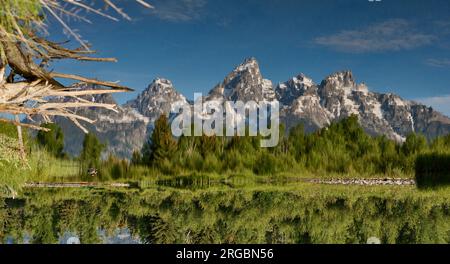 Chaîne de Grand Teton avec reflet dans la rivière à Schwabacher Landing, Grand Teton National Park, Wyoming, États-Unis d'Amérique Banque D'Images