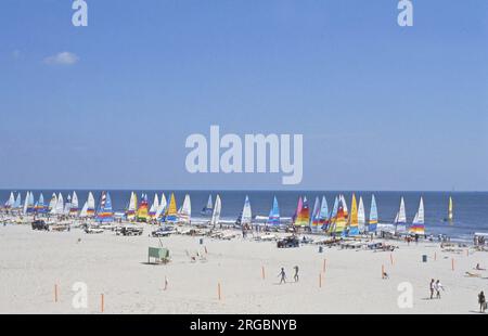 Hobie Cats, courses de catamaran sur la plage de Wildwood Crest, New Jersey Banque D'Images