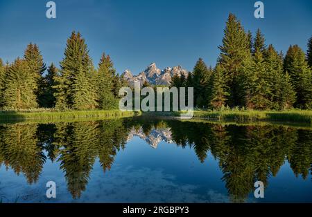Chaîne de Grand Teton avec reflet dans la rivière à Schwabacher Landing, Grand Teton National Park, Wyoming, États-Unis d'Amérique Banque D'Images