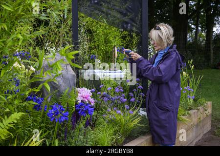 Personne photographie des plantes à fleurs sur lit surélevé (gagnant du concours horticole) - RHS Tatton Park Flower Show Showground, Cheshire, Angleterre, Royaume-Uni. Banque D'Images