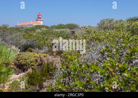 Phare de Cabo Sardao, situé au point le plus à l'ouest de la région de l'Alentejo au Portugal Banque D'Images