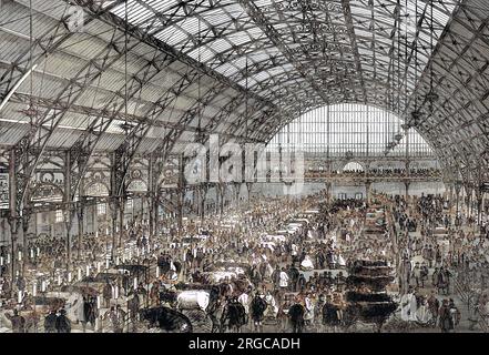 Smithfield Club Cattle Show, organisé dans le Agricultural Hall, Islington, Londres. Banque D'Images