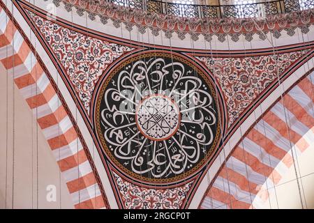 Istanbul, Turquie, Turkiye. Décorations en calligraphie et dessins floraux dans les murs de la Mosquée de Suleyman la magnifique, Mosquée de Suleymaniye. Banque D'Images