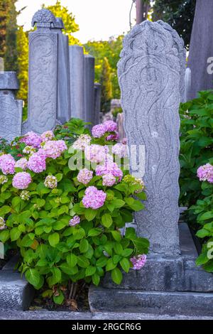 Istanbul, Turquie, Turkiye. Pierres tombales dans le cimetière adjacent à la Mosquée de Suleyman la magnifique Mosquée de Suleymaniye. Banque D'Images