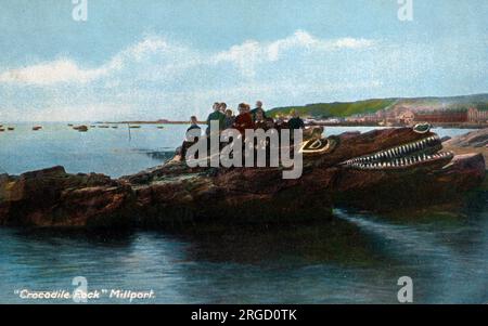 Crocodile Rock - Millport, Great Cumbrae, Firth of Clyde, North Ayrshire, Écosse. Une caractéristique depuis au moins 1913, lorsque Robert Brown a été reconnu par le conseil pour ses travaux. Banque D'Images