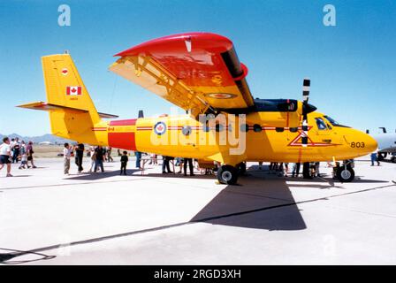 Forces armées canadiennes - de Havilland Canada CC-138 Twin Otter 13803 (msn 305, DHC-6-300) Banque D'Images