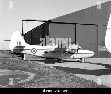 Royal Air Force - Percival Pembroke C.1 8018M / WV703 (msn PAC/66/06) Banque D'Images