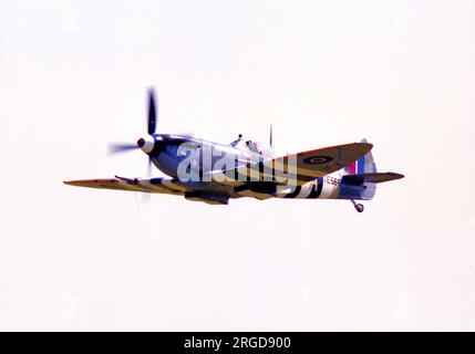 Supermarine Spitfire LF Mk.IX G-BLCK / TE566 (msn CBAF.171363) Banque D'Images