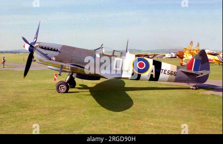 Supermarine Spitfire LF Mk.IX G-BLCK / TE566 (msn CBAF.171363) Banque D'Images
