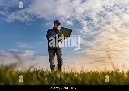 Angle bas de joyeux agriculteur senior tenant l'ordinateur portable dans le champ de blé vert Banque D'Images