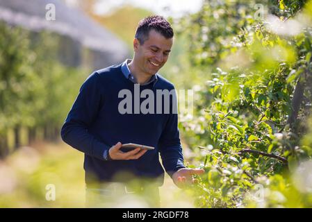 Bel agriculteur tenant la tablette et supervisant les arbres fruitiers sur la plantation au printemps Banque D'Images