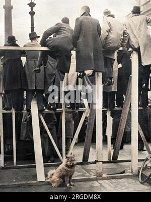 Les tribunes temporaires, construites le long du parcours processionnel, étaient remplies de personnes qui assistaient à la répétition du couronnement avant le véritable événement du 12 mai 1937. Pendant ce temps, un chien chow obéissant attend patiemment son propriétaire sur le trottoir ci-dessous. Banque D'Images