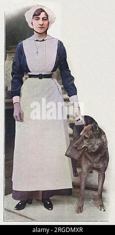 Constance Edwina (née Cornwallis West), duchesse de Westminster (plus tard Mme James Fitzpatrick Lewes) (décédée en 1970), première épouse du 2e duc de Westminster. Photographiée à l'époque, elle travaillait comme infirmière de la Croix-Rouge au front, gérant son propre hôpital. Elle est mentionnée dans le dépêche de Sir Douglas Haig pour son travail à la Croix-Rouge. Banque D'Images