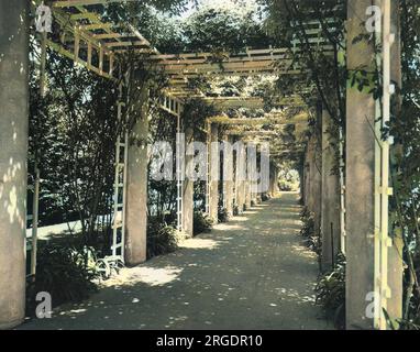 Une promenade ombragée dans les jardins de Huntington Library, San Marino, Californie, États-Unis Banque D'Images