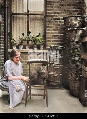 Une femme dans une cour arrière avec deux chats assis sur une chaise. Banque D'Images