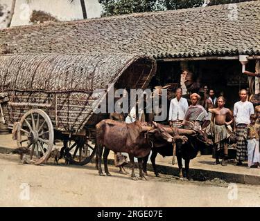 Les gens avec un chariot de taureau, Inde. Banque D'Images