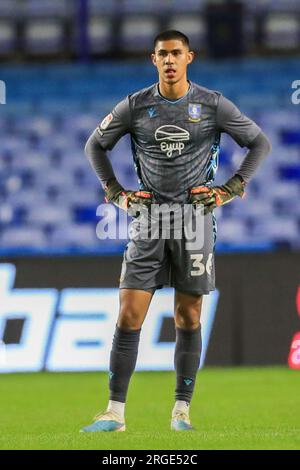 Sheffield, Royaume-Uni. 08 août 2023. Sheffield Wednesday Goalkeeper Devis Vasquez lors du Sheffield Wednesday FC vs Stockport County FC, Carabao Cup, Round 1 match au Hillsborough Stadium, Sheffield, Royaume-Uni le 8 août 2023 Credit : Every second Media/Alamy Live News Banque D'Images