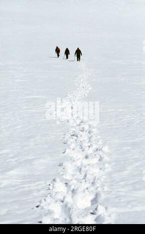 Un petit groupe de randonneurs traverse la neige sur un glacier en Nouvelle-Zélande. Banque D'Images