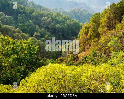 Vallée où Jim Corbett a tiré sur la tigresse de Tallas des Maneater près du village de Tulla Kote dans la région de Tallas des, Kumaon Hills, Uttarakhand, Inde Banque D'Images