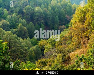 Vallée où Jim Corbett a tiré sur la tigresse de Tallas des Maneater près du village de Tulla Kote dans la région de Tallas des, Kumaon Hills, Uttarakhand, Inde Banque D'Images