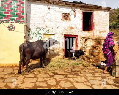 Femme indienne avec un buffle au village de Sanouli, Kumaon Hills, Uttarakhand, Inde Banque D'Images