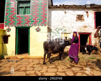 Femme indienne avec un buffle au village de Sanouli, Kumaon Hills, Uttarakhand, Inde Banque D'Images