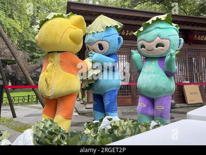 **CHINE CONTINENTALE, HONG KONG, MACAO ET TAIWAN OUT** les mascottes des Jeux asiatiques de Hangzhou aident à vendre des graines de lotus et des feuilles de lotus dans un ba caritatif Banque D'Images