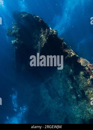 Plongée à USAT Liberty Wreck à Tulamben, Bali. Plongée libre en haute mer Banque D'Images