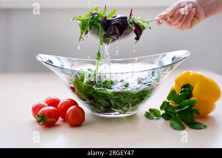 Les mains de la femme lavant les légumes dans l'évier dans la cuisine. Photo de haute qualité Banque D'Images